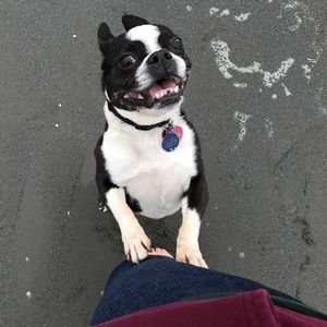 Meet your Posher, Minh-tam